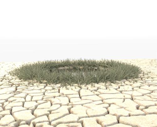 Desert scene with dried out ground preview image